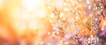 Soft blossoms in warm sunlight by Poster Art Shop