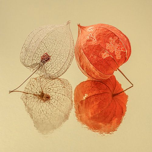 Vierkantje met twee lampionnetjes samen