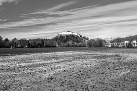 At Krauthügel with a view of the fortress by Christa Kramer