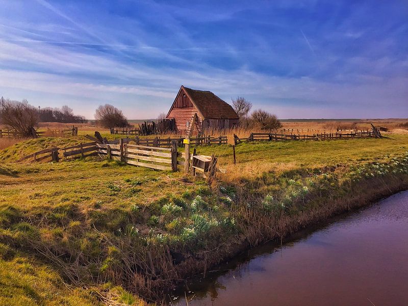 Oudste 'boet' op Texel, Den Hoorn by Lisette LisetteOpTexel