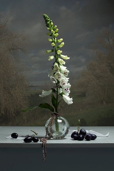 Still life with Foxglove and grapes by Willy Sengers
