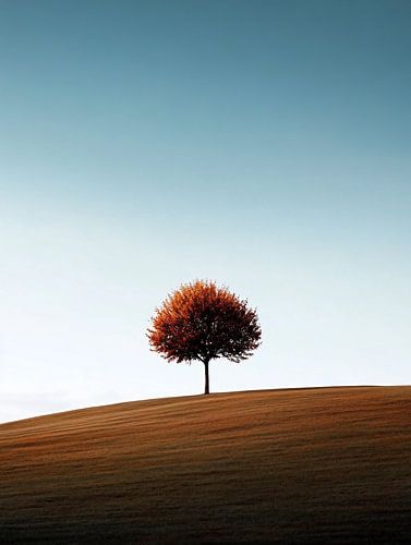 Tranquillity in detail