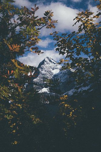 Interlaken bergtop tijdens de herfst