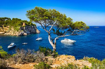 Mallorca island, luxury boats yachts at Portals Vells bay by Alex Winter