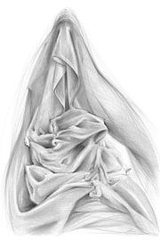 Bewaker van de waarheid 2 van Adriana Müller