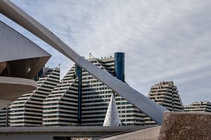 Palau des artes Reina sofia à Valence