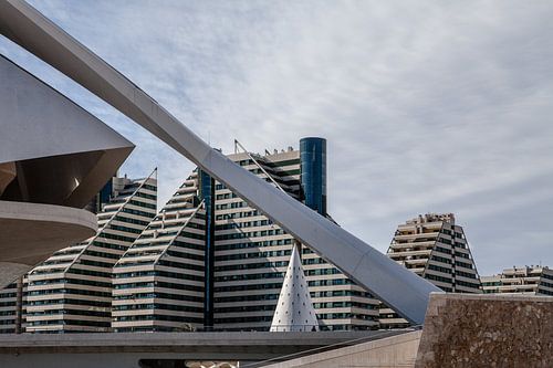 Palau des artes Reina sofia à Valence