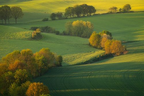 De mooie heuvels in het zuiden van Limburg met het eerste licht na zonsopkomst.