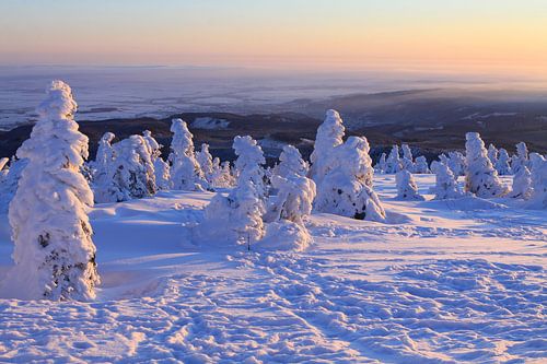 Der Brocken im Winterkleid