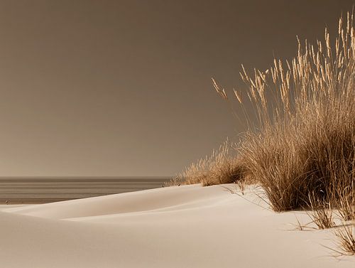 Waar de Wind Stopt - Hollum | Ameland