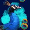 Pfau mit runden Federn von Postergirls