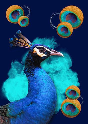 Pauw in blauw met ronde veren