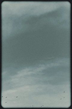 Free Flight by Jasmijn van dort