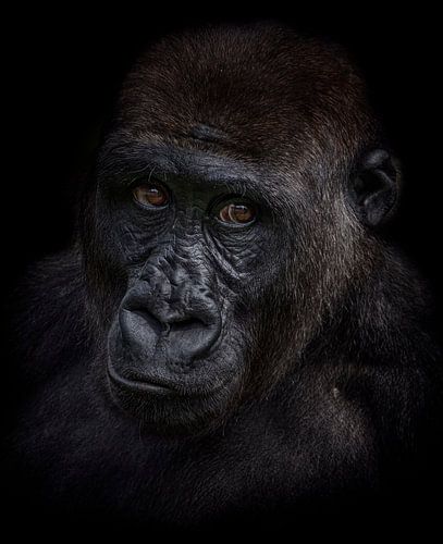 Vragende blik in de ogen