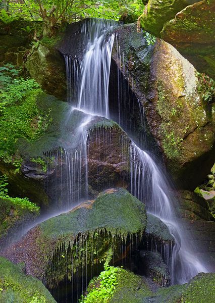 Lichtenhainer Wasserfall (Waterval met rotsen) van Caroline Lichthart