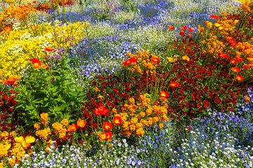Bloementuin op Mainau van Enfocado Fotografia