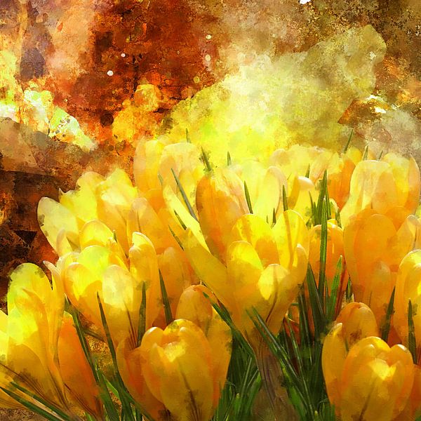 Crocus devant le mur de protection de la grange par Andreas Wemmje