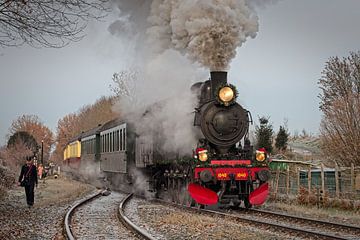 La locomotive à vapeur 1040 arrive à la gare de Wijlre. sur Rob Boon