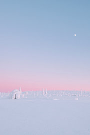 Pastel sunset in snow | travel photography print | Saariselkä Lapland Finland by Kimberley Jekel | reisfotografie prints