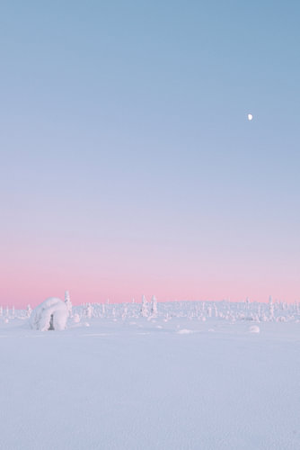 Pastel sunset in snow | travel photography print | Saariselkä Lapland Finland