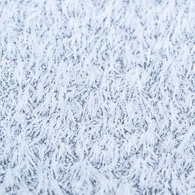 De magie van de vorst, abstracte winterse rijp van dichtbij van Christiaan Poot
