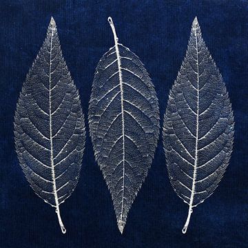 Drie bladeren in zilver op een donkerblauwe achtergrond van Western Exposure