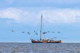 Sailing ship on the Wadden Sea