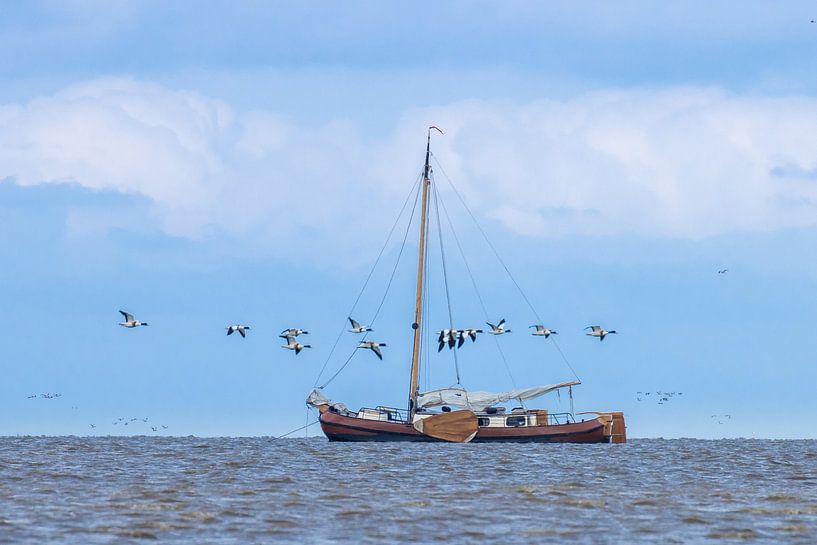 Sailing ship on the Wadden Sea by Goffe Jensma
