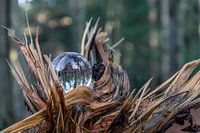 Verre dans la nature