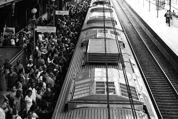 Treinstation Estação de Luz, São Paulo, Brazilië by Francesco Faes
