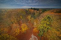 Utrechtse Heuvelrug im Herbst