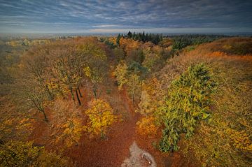 Helicopter uitzicht op Utrechtse Heuvelrug in de herfst van Dirk-Jan Steehouwer