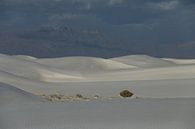 White Sands Dunes National Monument in New Mexico USA van Frank Fichtmüller thumbnail