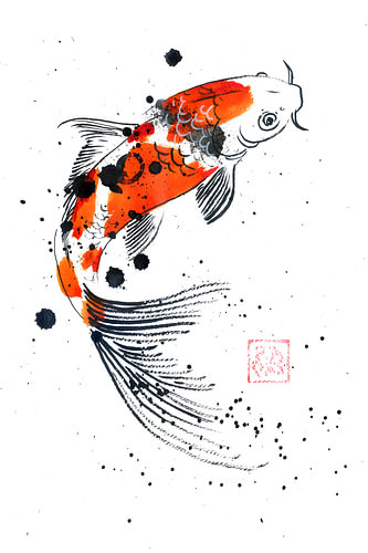 Tancho-Koi