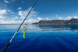 Canne à pêche devant le Cap-Occidental dans le paysage des fjords norvégiens. Scandinavie sur Martin Köbsch