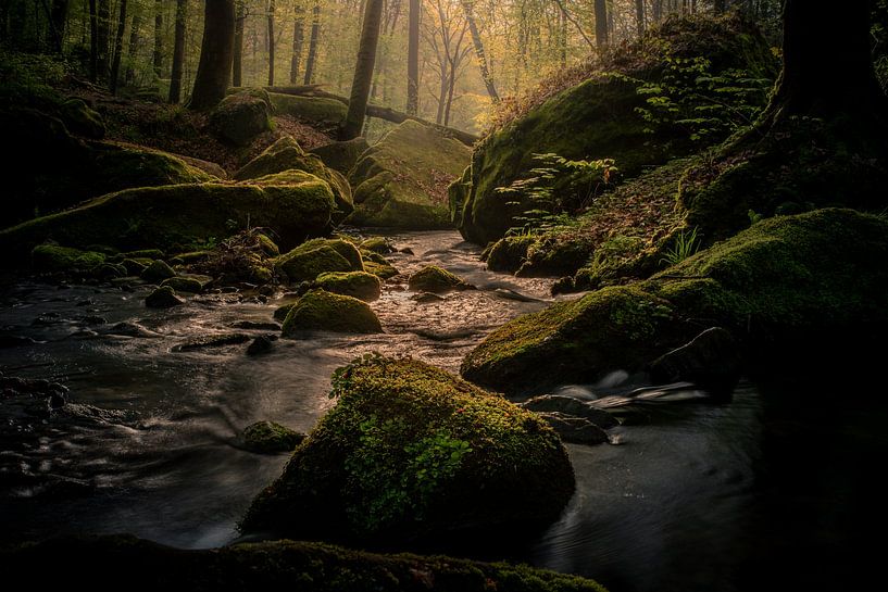 Müllerthal 1 by Geert Huyskens Photography