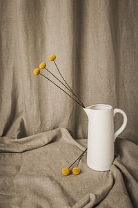 Stilleben mit getrockneten Craspedia-Blumen und Leinenleinwand von Mayra Fotografie