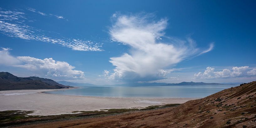 Antelope Island, Salt Lake, USA von Pitkovskiy Photography|ART