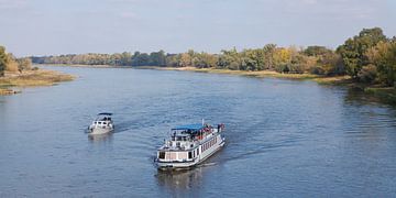 De Elbe bij Magdeburg (Saksen-Anhalt) van t.ART