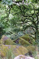Wistmen's Wood 14