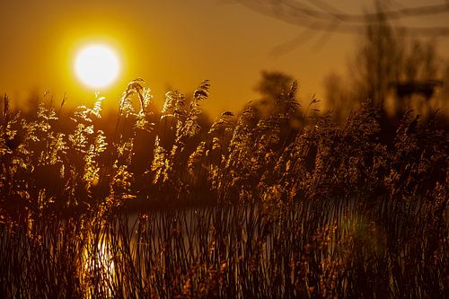 Lever du soleil sur Mooie Foto