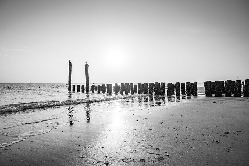Poteaux de la plage de Flessingue en noir et blanc Reflet de la mer par Femke Ketelaar