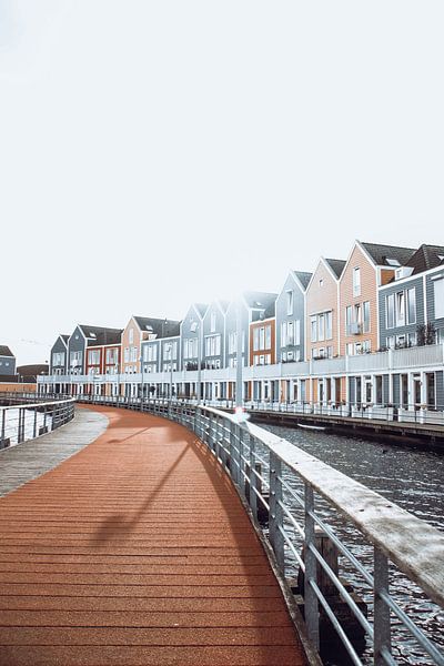 Bunte Häuser, Wooden Cane Lake von Shana Van Roosbroek