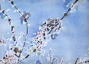 Weiße Blüte vor blauem Hintergrund von Catharina Mastenbroek Miniaturansicht