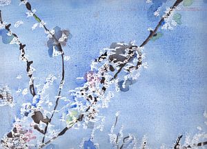 Witte bloesem tegen blauwe achtergrond