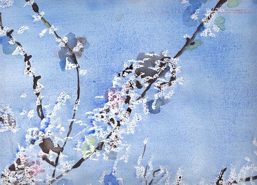 Witte bloesem tegen blauwe achtergrond