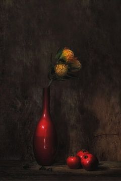 Nature morte avec rouge et jaune sur Saskia Dingemans Awarded Photographer