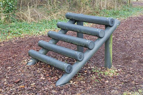 Fitness equipment in a forest - One stage of many