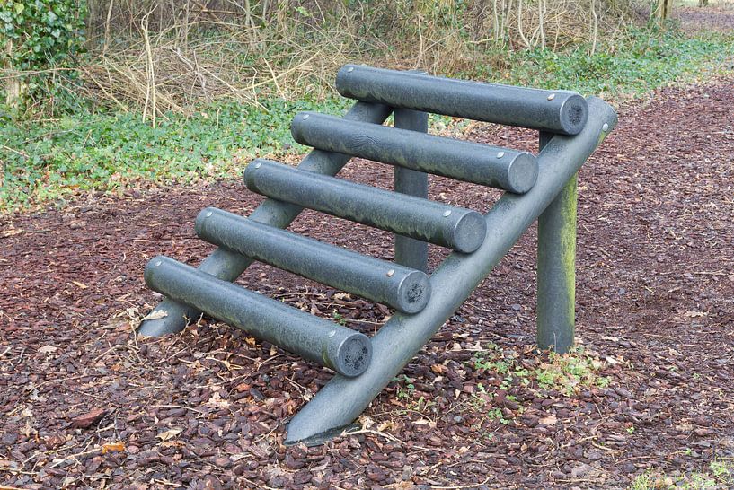 Fitness equipment in a forest - One stage of many by Micha Klootwijk
