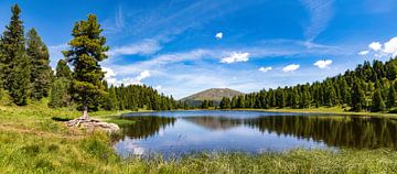 Schwarzsee op het Driemerenpad, Turracher Höhe in Karinthië, Oostenrijk van AidasignArt